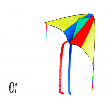 the flying kite 110 x 63 cm