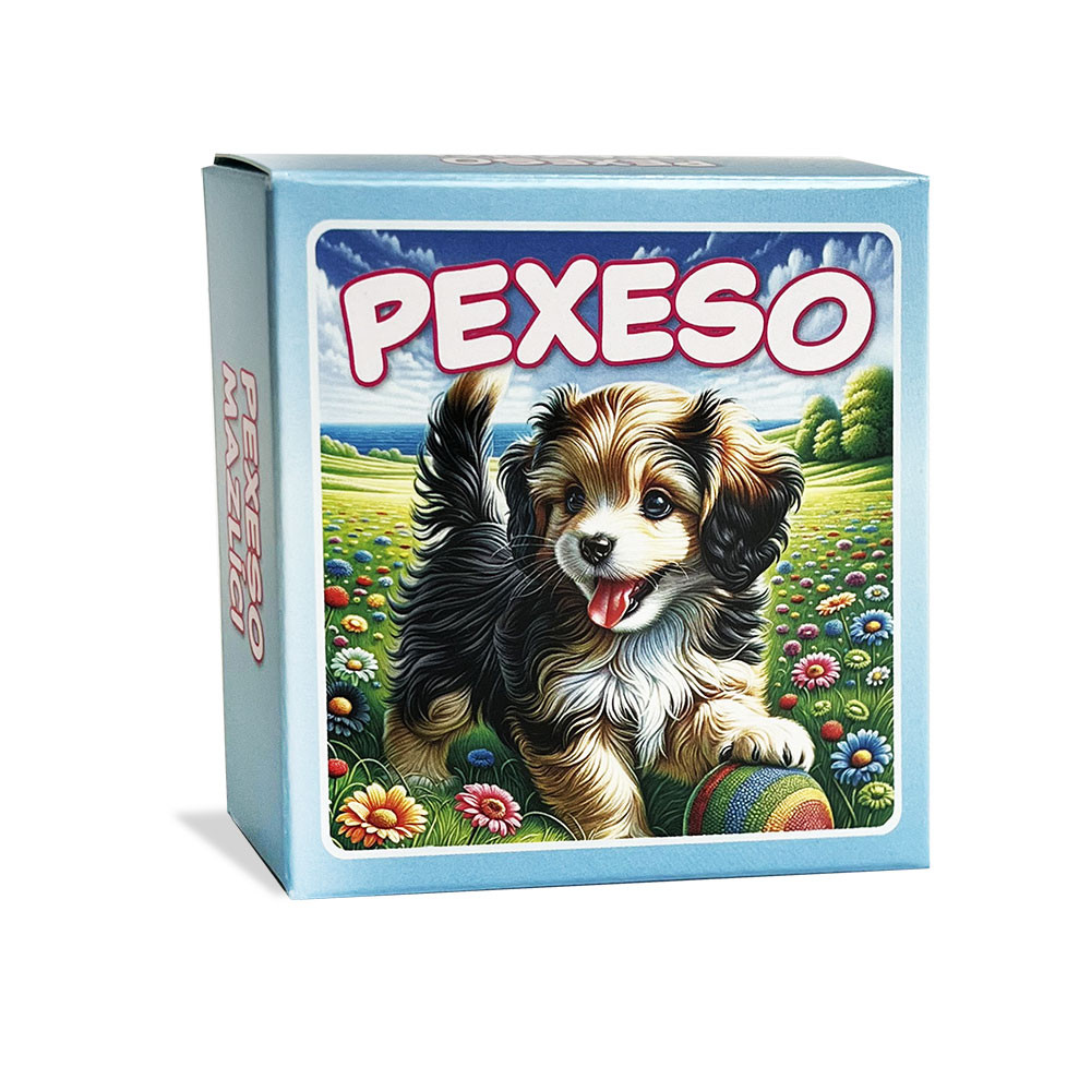 Pexeso Pets in a blue box